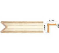 Угол Decomaster ДМ 30x30x2400 мм 116-281
