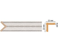 Угол Decomaster ДМ 22x22x2400 мм 116M-19D