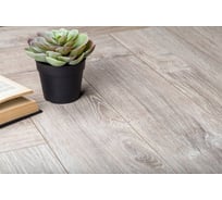 Ламинат Alsafloor Herringbone Sardinia oak, 33 класс, толщина 12 мм, 1.197 кв.м 562714