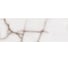 Настенная плитка Eletto Ceramica grey portogallo 24,2x70 см 509091201 9