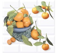 Панно Azori Ceramica vogue citrus 2, 40.5x40.2 см, 2 шт. 583012024