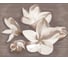 Панно Azori Ceramica amati plumeria alba, 50.5x40.2 см, комплект из 2 плиток 584192003 1