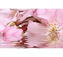 Декоративный массив Belleza Букет 07-00-5-09-01-41-664 розовый СК000010773