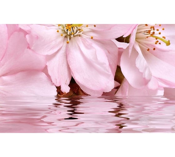 Декоративный массив Belleza Букет 07-00-5-09-01-41-665 розовый СК000010774