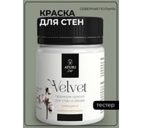 Краска для стен и обоев ATURI Design Velvet северная полынь, 0.07 кг T4-000120205