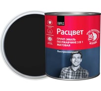 Грунт-эмаль Расцвет быстросохнущая, матовая, черная, 2.7 к 82709