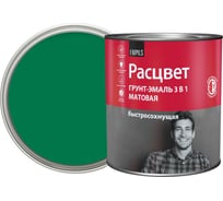 Грунт-эмаль Расцвет быстросохнущая, матовая, зеленая, 2.7 кг 82701