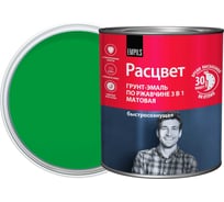 Грунт-эмаль Расцвет быстросохнущая, матовая, зеленая, 2.7 кг 82701