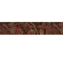 Панели для кухни Alumoart акп стандарт foliage burmese ruby sa-12.5.3/3000x600 мм, матовый 4640168327302