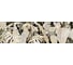 Панели для кухни Alumoart акп стандарт foliage black ivory sa-12.2.3/2000x600 мм, глянец 4640168327517 1