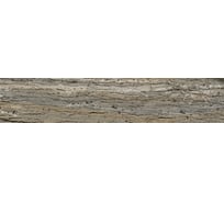 Панель для кухни Alumoart акп стандарт tabby camel snt-3.3.5/3000x600 мм, глянец 4640168305836