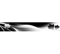 Фартук для кухни Студия фартуков Черное на белом, 3000x600 мм 330A649