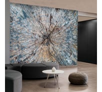Флизелиновые фотообои Verol встык, дерево серое, 8.1 кв. м, 300x270 см, моющиеся, на стену 63-ФФО-03519