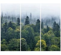 Фотообои Студия Фотообоев Утренний туман, 300x270 см, 3 полотна 1321298