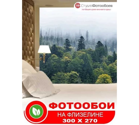 Фотообои Студия Фотообоев Утренний туман, 300x270 см, 3 полотна 1321298