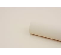 Обои на флизелиновой основе Erismann Basic 1,06x10,05м 60164-03