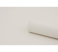 Обои на флизелиновой основе Erismann Basic 1,06x10,05м 60164-09