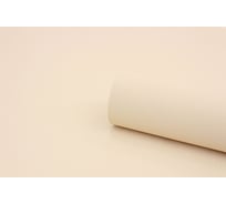 Обои на флизелиновой основе Erismann Basic 1,06x10,05м 60164-02
