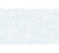 Обои на флизелиновой основе Erismann Amur 1,06x10,05 60613-05