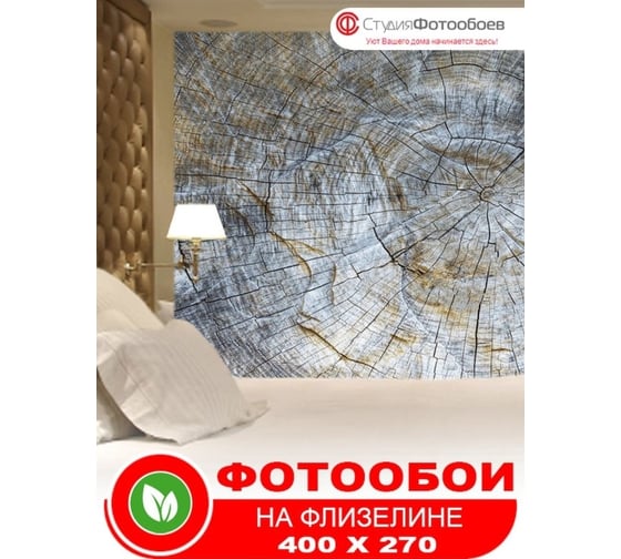 Фотообои Студия фотообоев Текстура старого дерева, 400x270 см, 4 полотна 1421264