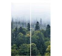 Фотообои Студия фотообоев Утренний туман, 200x270 см, 2 полотна 1221298