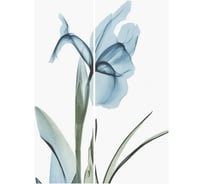 Фотообои Студия фотообоев Нежные цветы, 200x270 см, 2 полотна 1221310