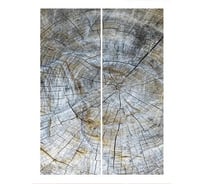 Фотообои Студия фотообоев Текстура старого дерева, 200x270 см, 2 полотна 1221264