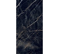 Керамогранит Primavera Namibia Black 60x120 см (PR211) 22138