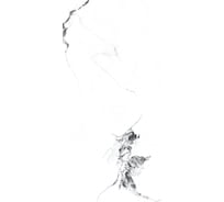 Керамогранит Primavera Videl Bianco полированный 60x120 см (PR222) 49303