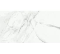 Керамогранит Primavera Dalim white 30x60 см (NR004) 54636