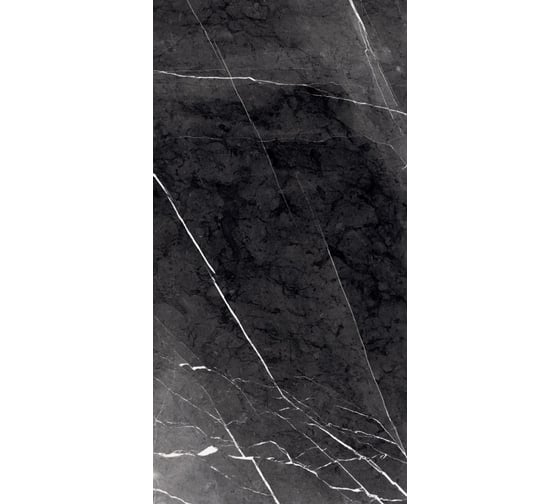 Керамогранит Primavera Fedele Negro 60x120 см (GR203) 22136