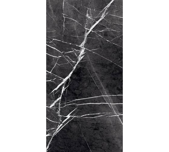 Керамогранит Primavera Fedele Negro 60x120 см (GR203) 22136