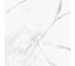 Керамогранит Primavera Dalim white 60x60 см (NR104) 54638 1