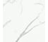 Керамогранит Primavera Dalim white 60x60 см (NR104) 54638 3