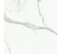 Керамогранит Primavera Dalim white 60x60 см (NR104) 54638 8