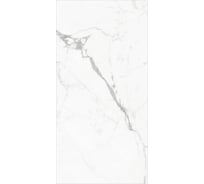 Керамогранит Global Tile Elegant Statuario формат 60x120 см, белый, в коробке 1.44 кв. м GT120604803PR