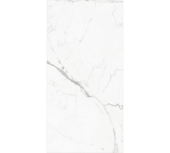 Керамогранит Global Tile Elegant Statuario формат 60x120 см, белый, в коробке 1.44 кв. м GT120604803PR