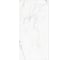 Керамогранит Global Tile Elegant Statuario формат 60x120 см, белый, в коробке 1.44 кв. м GT120604803PR 2