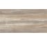 Плитка настенная AltaCera Detroit Wood 249x500x8,5 мм, 10 шт в уп WT9DET08 9