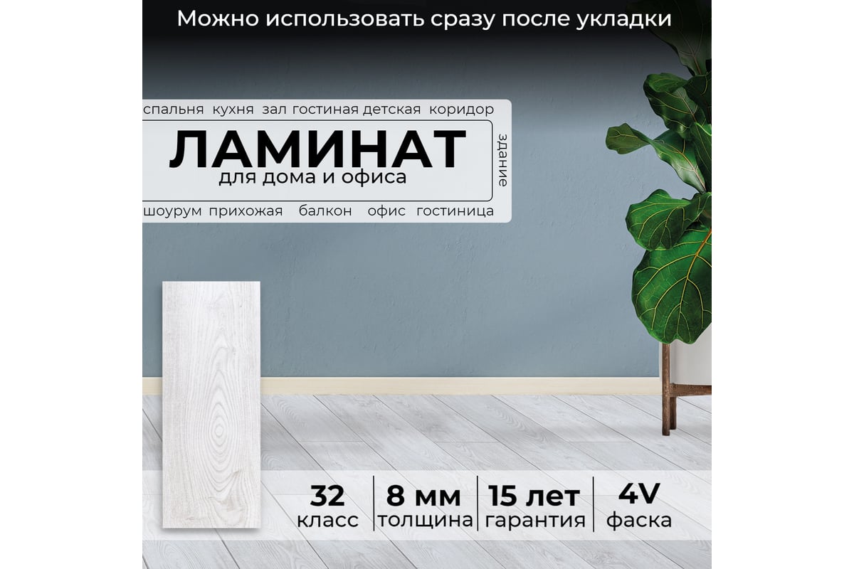 Ламинат Peli Elegance Бланко, 32 класс, толщина 8 мм, 1.961 кв.м  УТ-00085211 - выгодная цена, отзывы, характеристики, фото - купить в Москве  и РФ