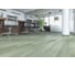Замковое напольное покрытие Home Expert Natural Дуб Майское утро, 1220x150x3.5 мм, 0,3 мм, фаска, градиент, 12 шт. уп. 61W930 3