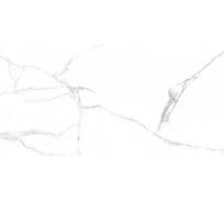 Керамогранит LAPARET mars grey белый 60x120 см., уп. 1,44 м2., 2 шт. в уп х9999295346