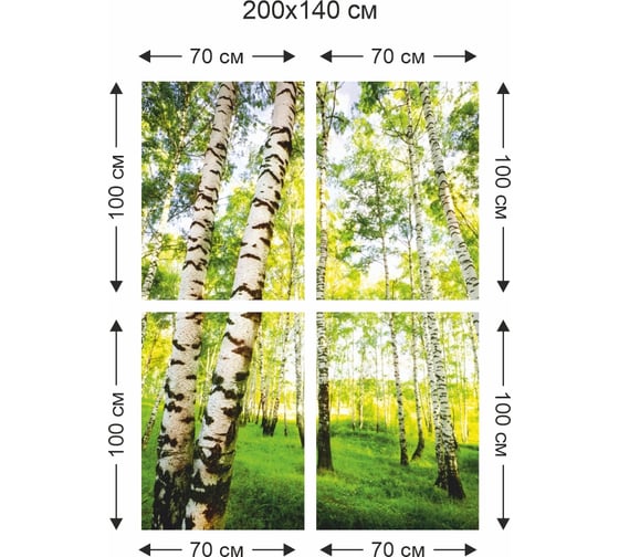 Фотообои Симфония В березках 4 листа К-085