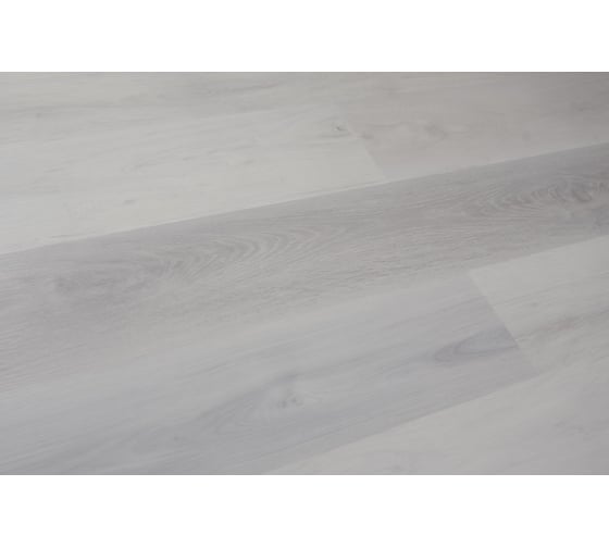 SPC ламинат EvoFloor Optima click Oak Snow / Дуб Снежный 1220х184х4.2 мм, 2.245 м2 540-6