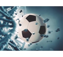 Фотообои Симфония Гол 4 л. К-153