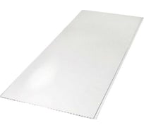 Панель ПВХ ПАНЕЛЬПЛАСТ белый лак, 0,25х2,7 м, 10 шт. 0021