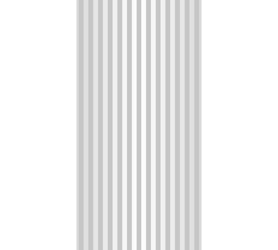 Панель ПВХ ПАНЕЛЬПЛАСТ Silver Lines фотопечать под лаком, 0,25x2,7 м, Хай-Тек, 10 шт. 8214