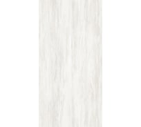 Панель ПВХ ПАНЕЛЬПЛАСТ Ashen Wood фотопечать под лаком, 0,25x2,7 м, Хай-Тек, 10 шт. 8243