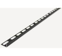 Профиль РУССКИЙ ПРОФИЛЬ РП-АКП-03 2.7 м, анодированый, черный матовый, 10 штук 4680427096273