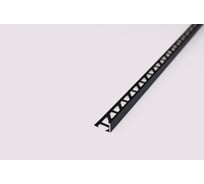 Профиль РУССКИЙ ПРОФИЛЬ РП-АКП-03-12,5 2.7 м, анодированый, черный матовый, 10 штук 4680427121661